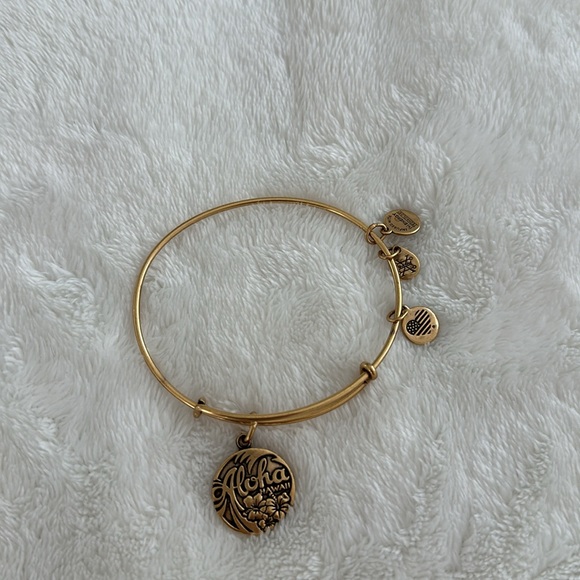 Alex and Ani Aloha Hawaii Bracelet - Picture 4 of 6